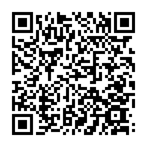 UPI payment QR